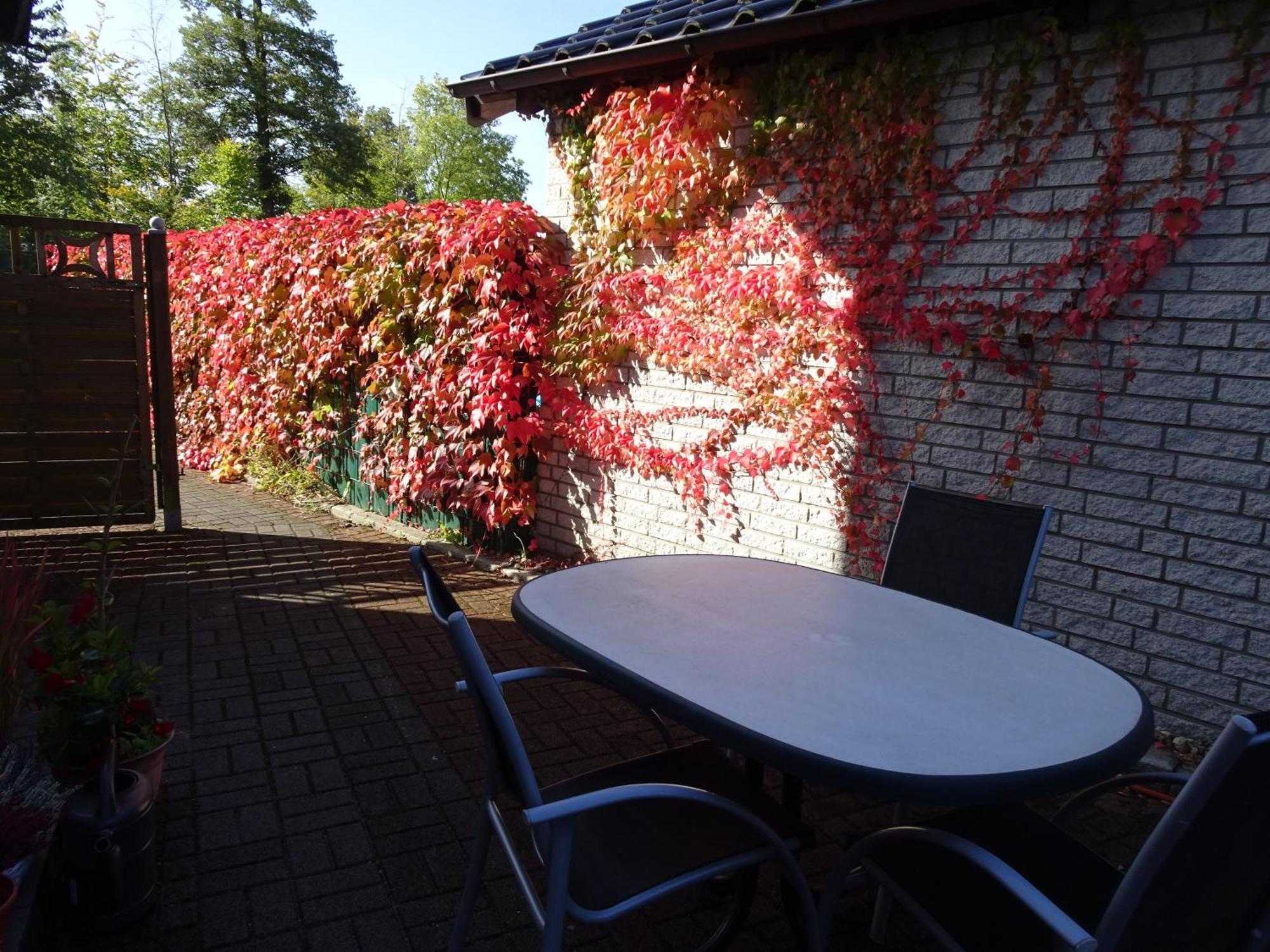 Ferienwohnung Im Gruenen Mit Terrasse Wf 헤어데케 외부 사진